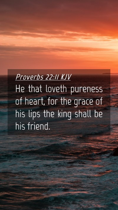 Picture 04 - Proverbs 22:11 KJV Mobile Phone Wallpaper - He that loveth pureness of heart, for the grace - Mobile Bible Verse Wallpaper