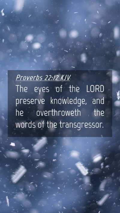 Picture 04 - Proverbs 22:12 KJV Mobile Phone Wallpaper - The eyes of the LORD preserve knowledge, and he - Mobile Bible Verse Wallpaper