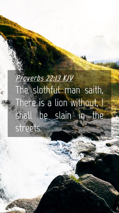 Picture 04 - Proverbs 22:13 KJV Mobile Phone Wallpaper - The slothful man saith, There is a lion without, - Mobile Bible Verse Wallpaper