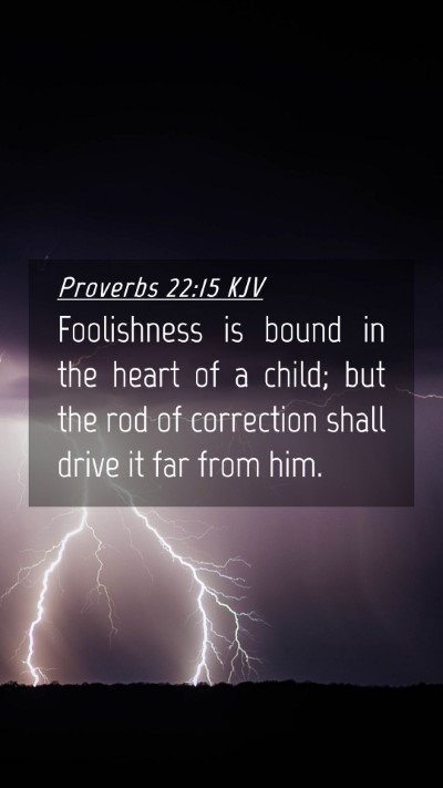 Picture 04 - Proverbs 22:15 KJV Mobile Phone Wallpaper - Foolishness is bound in the heart of a child; but - Mobile Bible Verse Wallpaper