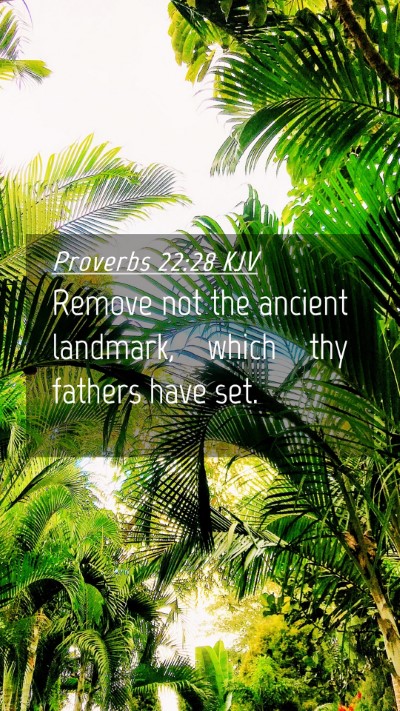 Picture 04 - Proverbs 22:28 KJV Mobile Phone Wallpaper - Remove not the ancient landmark, which thy - Mobile Bible Verse Wallpaper