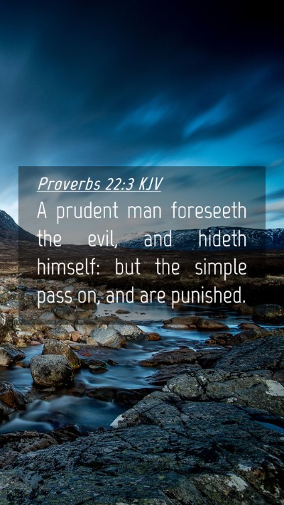 Picture 04 - Proverbs 22:3 KJV Mobile Phone Wallpaper - A prudent man foreseeth the evil, and hideth - Mobile Bible Verse Wallpaper