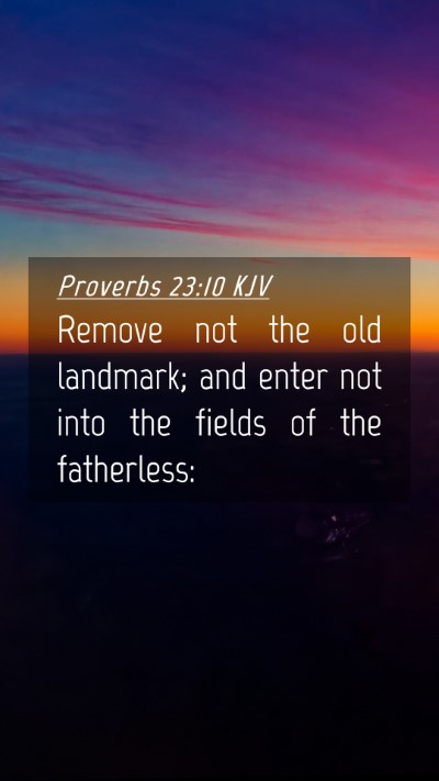 Picture 04 - Proverbs 23:10 KJV Mobile Phone Wallpaper - Remove not the old landmark; and enter not into - Mobile Bible Verse Wallpaper
