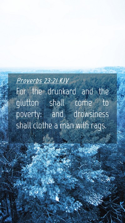 Picture 04 - Proverbs 23:21 KJV Mobile Phone Wallpaper - For the drunkard and the glutton shall come to - Mobile Bible Verse Wallpaper