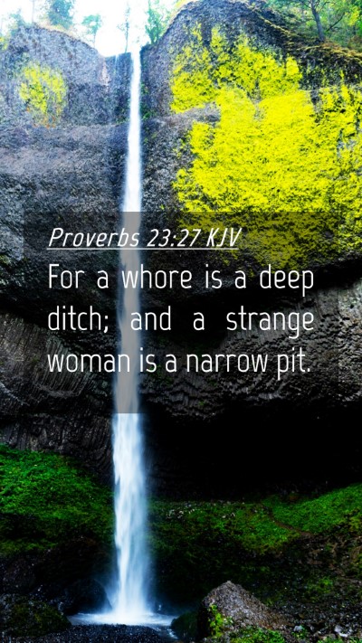 Picture 04 - Proverbs 23:27 KJV Mobile Phone Wallpaper - For a whore is a deep ditch; and a strange woman - Mobile Bible Verse Wallpaper