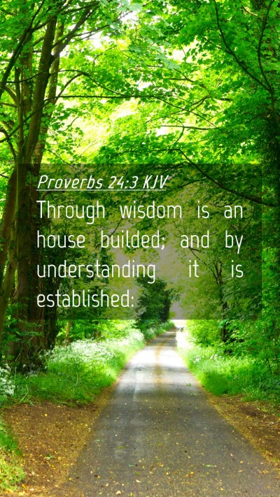 Picture 04 - Proverbs 24:3 KJV Mobile Phone Wallpaper - Through wisdom is an house builded; and by - Mobile Bible Verse Wallpaper