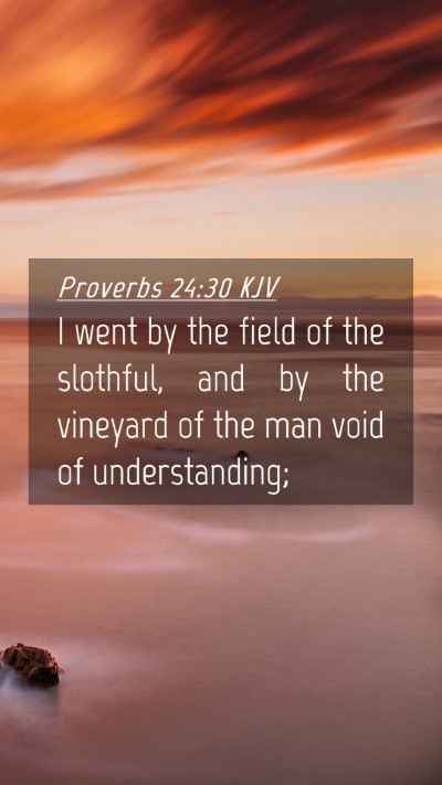 Picture 04 - Proverbs 24:30 KJV Mobile Phone Wallpaper - I went by the field of the slothful, and by the - Mobile Bible Verse Wallpaper