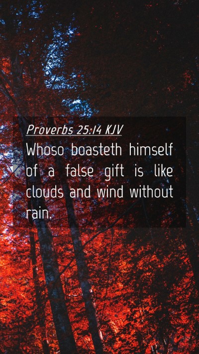 Picture 04 - Proverbs 25:14 KJV Mobile Phone Wallpaper - Whoso boasteth himself of a false gift is like - Mobile Bible Verse Wallpaper