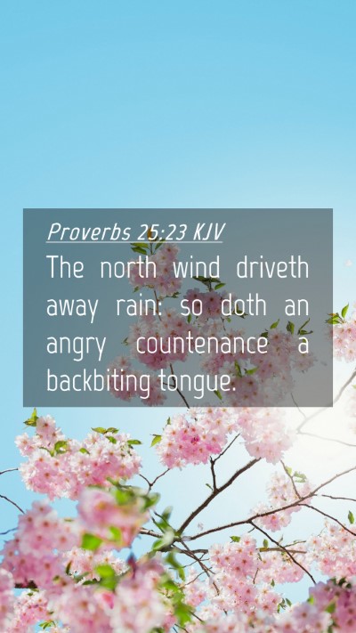 Picture 04 - Proverbs 25:23 KJV Mobile Phone Wallpaper - The north wind driveth away rain: so doth an - Mobile Bible Verse Wallpaper