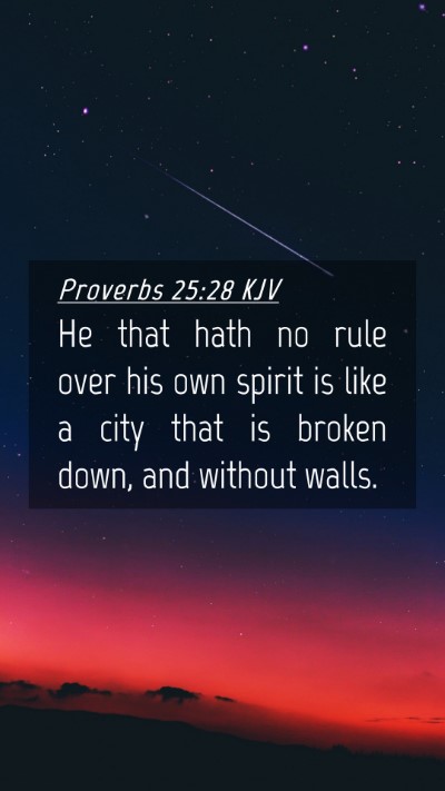Picture 04 - Proverbs 25:28 KJV Mobile Phone Wallpaper - He that hath no rule over his own spirit is like - Mobile Bible Verse Wallpaper