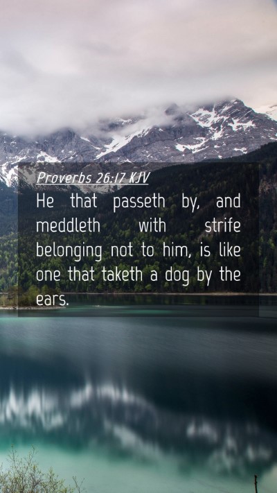 Picture 04 - Proverbs 26:17 KJV Mobile Phone Wallpaper - He that passeth by, and meddleth with strife - Mobile Bible Verse Wallpaper