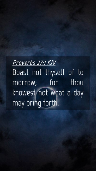 Picture 04 - Proverbs 27:1 KJV Mobile Phone Wallpaper - Boast not thyself of to morrow; for thou knowest - Mobile Bible Verse Wallpaper