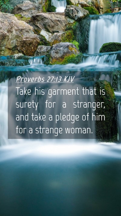 Picture 04 - Proverbs 27:13 KJV Mobile Phone Wallpaper - Take his garment that is surety for a stranger, - Mobile Bible Verse Wallpaper
