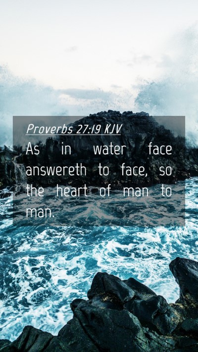 Picture 04 - Proverbs 27:19 KJV Mobile Phone Wallpaper - As in water face answereth to face, so the heart - Mobile Bible Verse Wallpaper