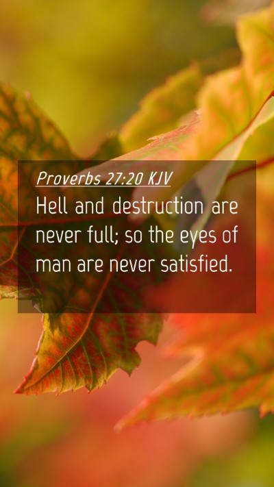 Picture 04 - Proverbs 27:20 KJV Mobile Phone Wallpaper - Hell and destruction are never full; so the eyes - Mobile Bible Verse Wallpaper