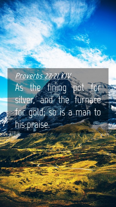 Picture 04 - Proverbs 27:21 KJV Mobile Phone Wallpaper - As the fining pot for silver, and the furnace for - Mobile Bible Verse Wallpaper