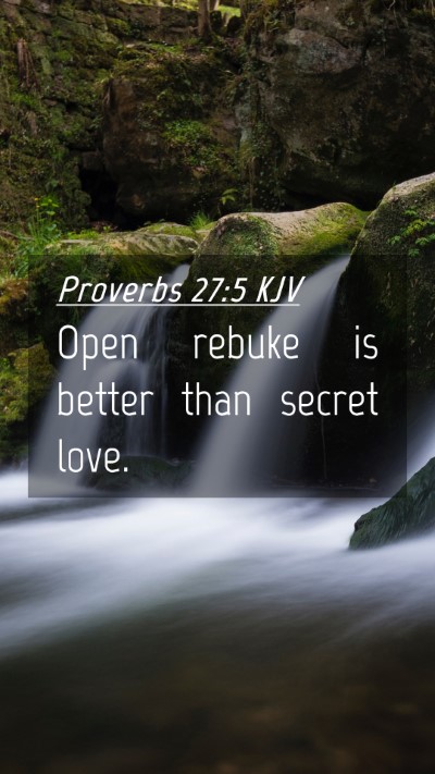 Picture 04 - Proverbs 27:5 KJV Mobile Phone Wallpaper - Open rebuke is better than secret - Mobile Bible Verse Wallpaper