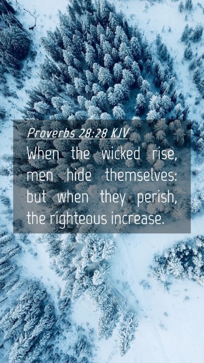 Picture 04 - Proverbs 28:28 KJV Mobile Phone Wallpaper - When the wicked rise, men hide themselves: but - Mobile Bible Verse Wallpaper