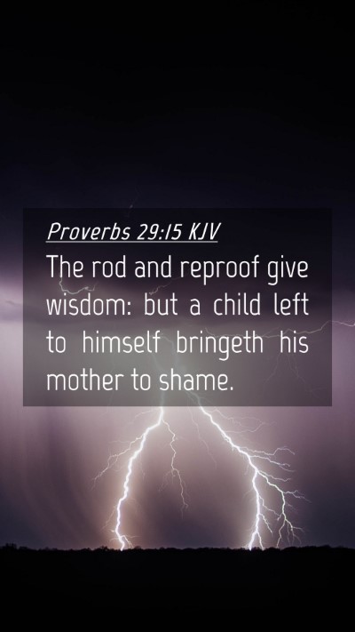 Picture 04 - Proverbs 29:15 KJV Mobile Phone Wallpaper - The rod and reproof give wisdom: but a child left - Mobile Bible Verse Wallpaper