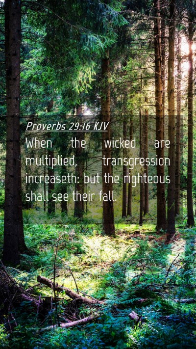 Picture 04 - Proverbs 29:16 KJV Mobile Phone Wallpaper - When the wicked are multiplied, transgression - Mobile Bible Verse Wallpaper