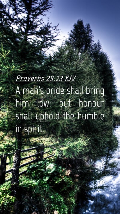 Picture 04 - Proverbs 29:23 KJV Mobile Phone Wallpaper - A man's pride shall bring him low: but honour - Mobile Bible Verse Wallpaper