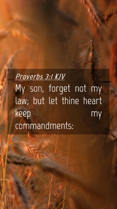 Picture 04 - Proverbs 3:1 KJV Mobile Phone Wallpaper - My son, forget not my law; but let thine heart - Mobile Bible Verse Wallpaper