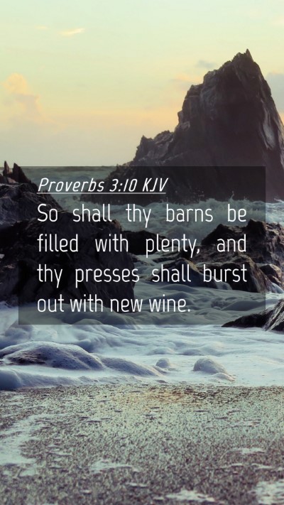 Picture 04 - Proverbs 3:10 KJV Mobile Phone Wallpaper - So shall thy barns be filled with plenty, and thy - Mobile Bible Verse Wallpaper