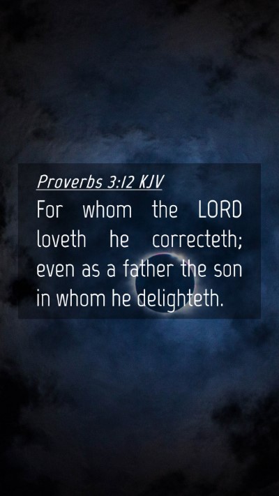 Picture 04 - Proverbs 3:12 KJV Mobile Phone Wallpaper - For whom the LORD loveth he correcteth; even as a - Mobile Bible Verse Wallpaper