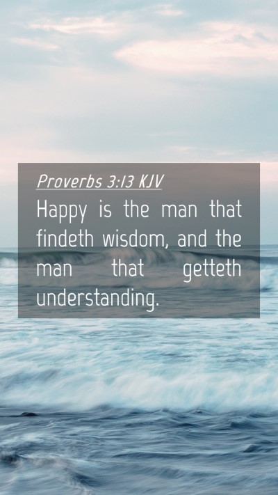 Picture 04 - Proverbs 3:13 KJV Mobile Phone Wallpaper - Happy is the man that findeth wisdom, and the man - Mobile Bible Verse Wallpaper