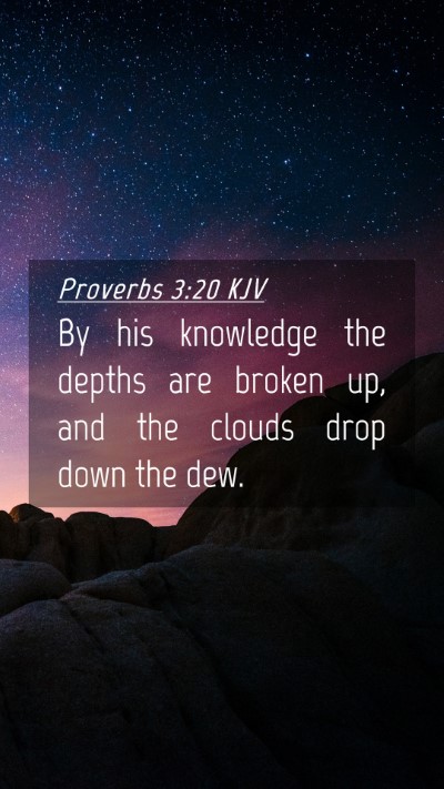 Picture 04 - Proverbs 3:20 KJV Mobile Phone Wallpaper - By his knowledge the depths are broken up, and - Mobile Bible Verse Wallpaper