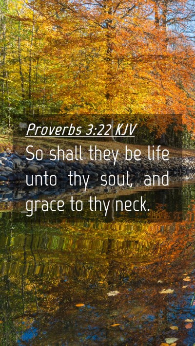 Picture 04 - Proverbs 3:22 KJV Mobile Phone Wallpaper - So shall they be life unto thy soul, and grace to - Mobile Bible Verse Wallpaper