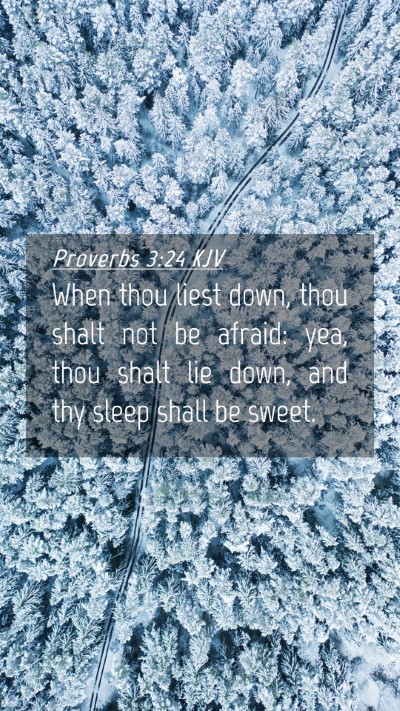 Picture 04 - Proverbs 3:24 KJV Mobile Phone Wallpaper - When thou liest down, thou shalt not be afraid: - Mobile Bible Verse Wallpaper