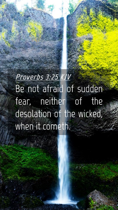 Picture 04 - Proverbs 3:25 KJV Mobile Phone Wallpaper - Be not afraid of sudden fear, neither of the - Mobile Bible Verse Wallpaper