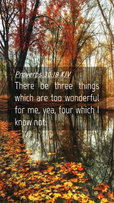 Picture 04 - Proverbs 30:18 KJV Mobile Phone Wallpaper - There be three things which are too wonderful for - Mobile Bible Verse Wallpaper