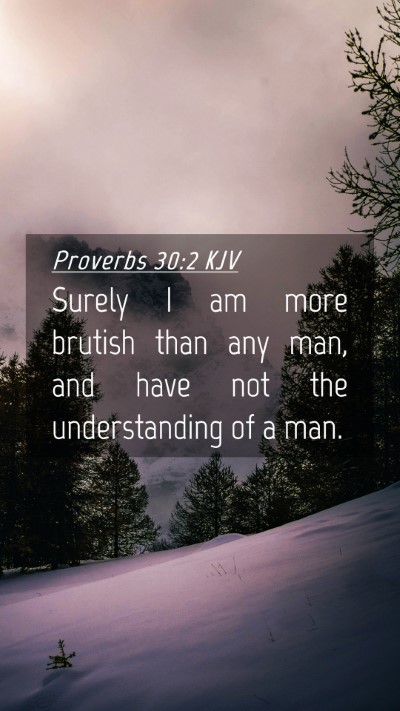 Picture 04 - Proverbs 30:2 KJV Mobile Phone Wallpaper - Surely I am more brutish than any man, and have - Mobile Bible Verse Wallpaper