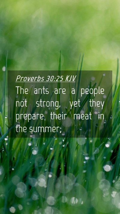Picture 04 - Proverbs 30:25 KJV Mobile Phone Wallpaper - The ants are a people not strong, yet they - Mobile Bible Verse Wallpaper