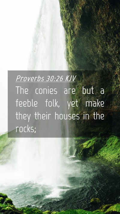 Picture 04 - Proverbs 30:26 KJV Mobile Phone Wallpaper - The conies are but a feeble folk, yet make they - Mobile Bible Verse Wallpaper