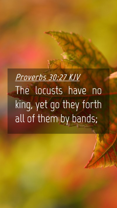 Picture 04 - Proverbs 30:27 KJV Mobile Phone Wallpaper - The locusts have no king, yet go they forth all - Mobile Bible Verse Wallpaper