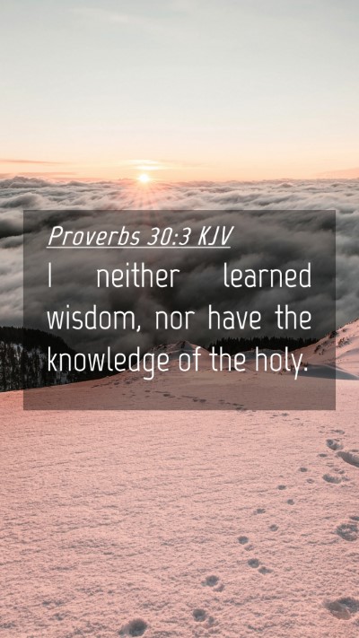 Picture 04 - Proverbs 30:3 KJV Mobile Phone Wallpaper - I neither learned wisdom, nor have the knowledge - Mobile Bible Verse Wallpaper