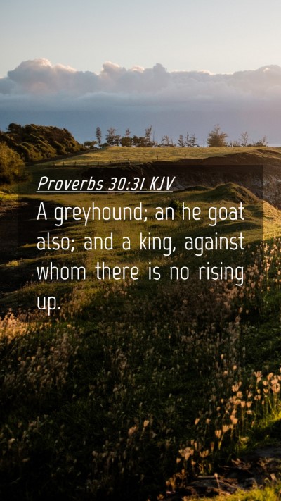 Picture 04 - Proverbs 30:31 KJV Mobile Phone Wallpaper - A greyhound; an he goat also; and a king, against - Mobile Bible Verse Wallpaper