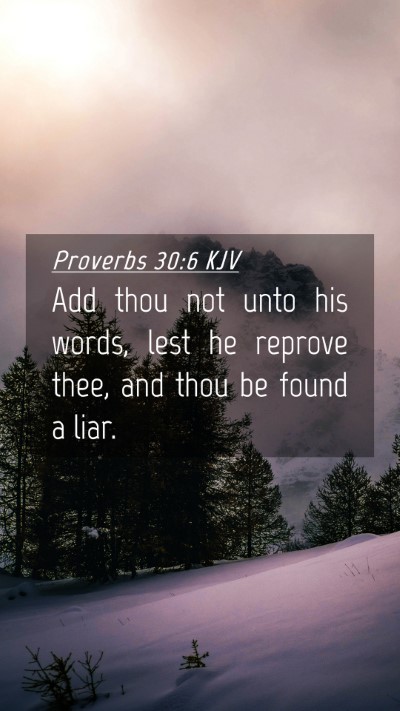 Picture 04 - Proverbs 30:6 KJV Mobile Phone Wallpaper - Add thou not unto his words, lest he reprove - Mobile Bible Verse Wallpaper