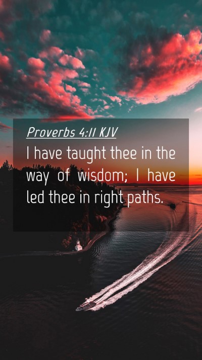 Picture 04 - Proverbs 4:11 KJV Mobile Phone Wallpaper - I have taught thee in the way of wisdom; I have - Mobile Bible Verse Wallpaper