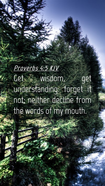 Picture 04 - Proverbs 4:5 KJV Mobile Phone Wallpaper - Get wisdom, get understanding: forget it not; - Mobile Bible Verse Wallpaper