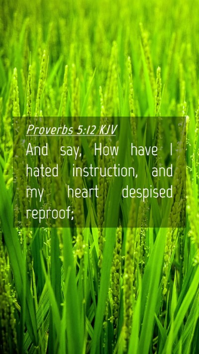 Picture 04 - Proverbs 5:12 KJV Mobile Phone Wallpaper - And say, How have I hated instruction, and my - Mobile Bible Verse Wallpaper