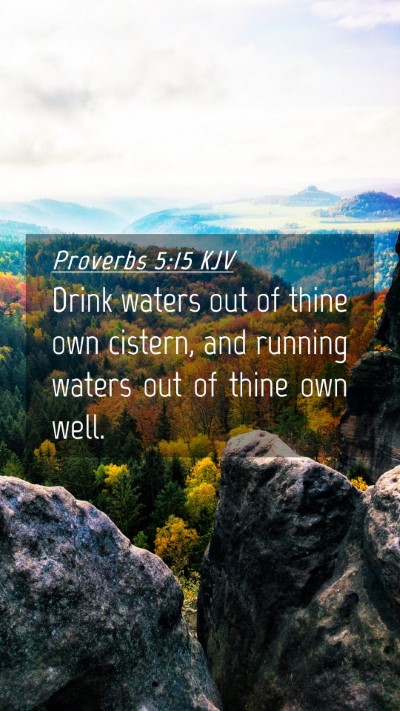 Picture 04 - Proverbs 5:15 KJV Mobile Phone Wallpaper - Drink waters out of thine own cistern, and - Mobile Bible Verse Wallpaper