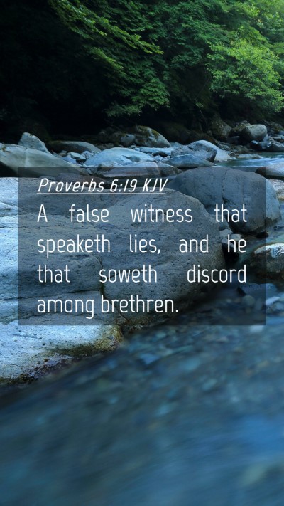 Picture 04 - Proverbs 6:19 KJV Mobile Phone Wallpaper - A false witness that speaketh lies, and he that - Mobile Bible Verse Wallpaper