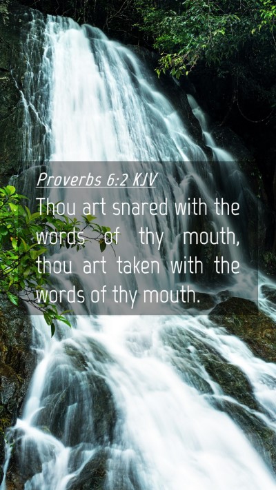 Picture 04 - Proverbs 6:2 KJV Mobile Phone Wallpaper - Thou art snared with the words of thy mouth, thou - Mobile Bible Verse Wallpaper