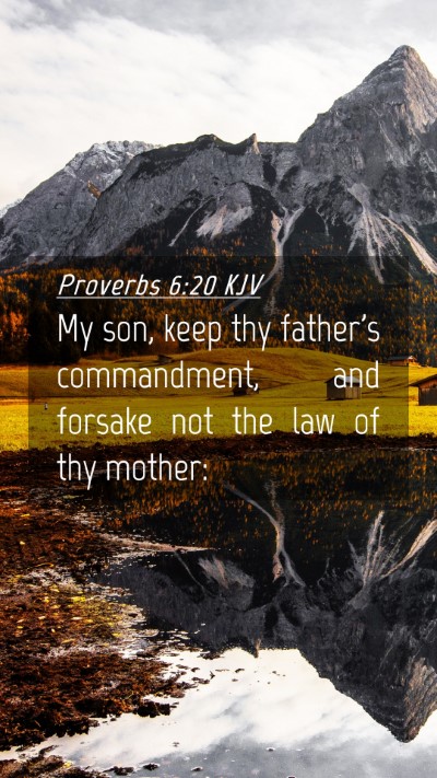 Picture 04 - Proverbs 6:20 KJV Mobile Phone Wallpaper - My son, keep thy father's commandment, and - Mobile Bible Verse Wallpaper