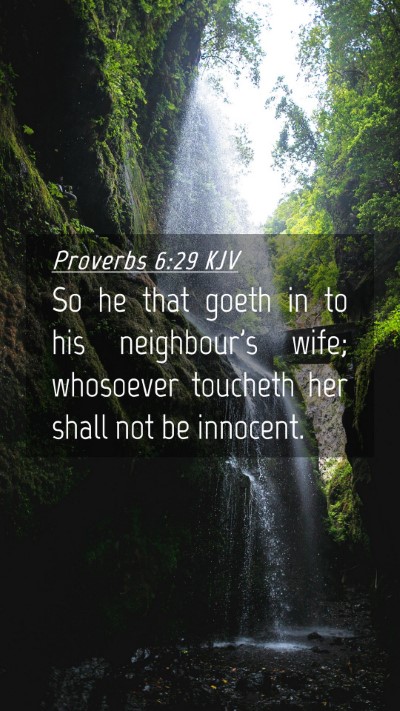Picture 04 - Proverbs 6:29 KJV Mobile Phone Wallpaper - So he that goeth in to his neighbour's wife; - Mobile Bible Verse Wallpaper