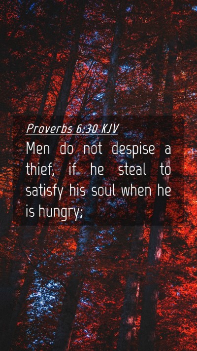 Picture 04 - Proverbs 6:30 KJV Mobile Phone Wallpaper - Men do not despise a thief, if he steal to - Mobile Bible Verse Wallpaper